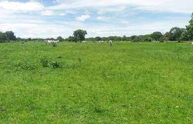 Imagem: A fazenda possui 1.416.000m² de Área e está localizado em