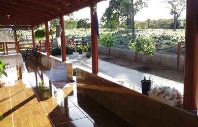 Imagem 7: Chácara com 3 dormitórios à venda, 217800 m² por R$ 1.050.000,00 -...