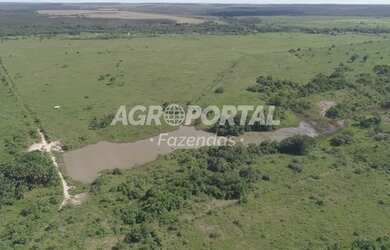 Imagem 6: Fazenda no Pará- Goianésia do Pará - 895 ha 185 alq