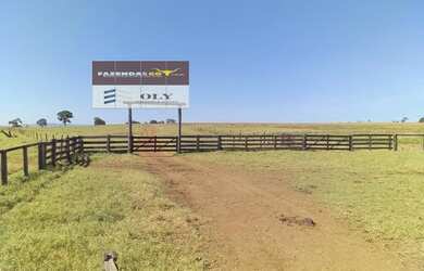 Imagem 6: Fazenda Extra Município de Palestina - GO 175 Alqueires