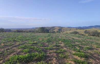 Imagem 1: Lote/Terreno para venda tem 600 metros quadrados em Jardim Colonial -...