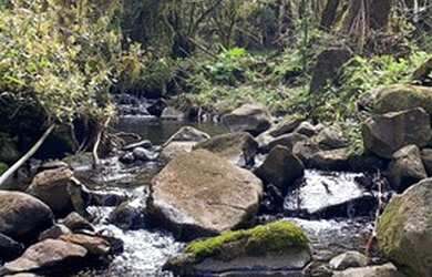 Imagem 14: Urubici - Terreno. 20.000m² de Área