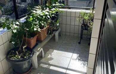 Imagem 5: Apartamento com 2 dorms, Guilhermina, Praia Grande - R$ 400 mil, Cod: ACT2541