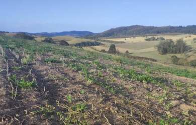 Imagem 3: Lote/Terreno para venda tem 600 metros quadrados em Jardim Colonial -...
