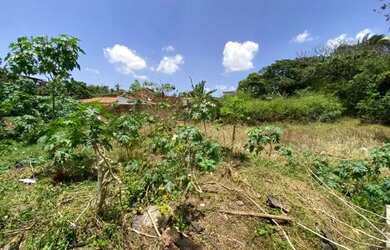 Imagem 3: Área 4500m² - Angelim. 4.500m² de Área