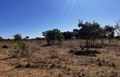 Imagem 11: Fazenda arrendamento 700hec pra abrir em aliança do Tocantins TO