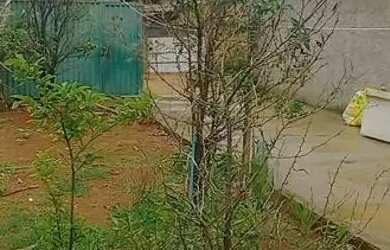 Imagem: A casa possui 3 Dormitórios, 1 Banheiro, 1 Vaga na garagem