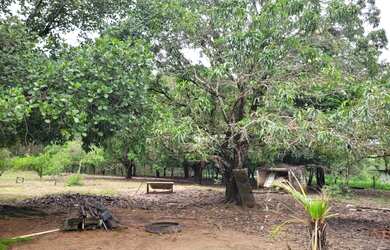 Imagem 12: Fazenda com 3 dormitórios à venda, 484000 m² por R$ 1.300.000,00 -...