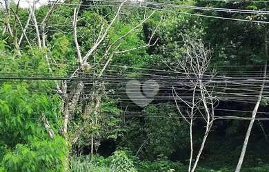 Imagem 14: Lopes Enjoy Vende Terreno com 5150 m² por R$ 480.000,00- Vargem Grande...