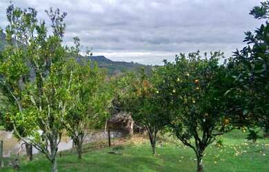 Imagem 6: Sítio à Venda em Canela!