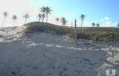 Imagem 14: TERRENO EM CONDE- BA. 77017m² de Área