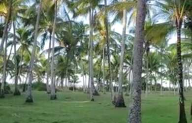 Imagem 6: AREA RESIDENCIAL em SANTA CRUZ CABRÁLIA - BA, 50 metros frente praia do Guaiú