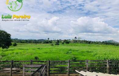 Imagem: A fazenda possui 186.882.400m² de Área, Imóvel novo e está