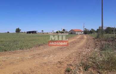 Imagem 10: Fazenda Produtiva em Porangatu-GO / 92 Alq. 445 Há