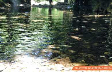 Imagem 14: Fazenda Prata - Porto Nacional - TO 32,54 Alq