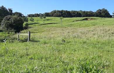 Imagem: A fazenda possui 121000m² de Área e está localizado em Marquinho