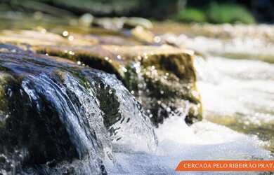 Imagem 16: Fazenda Prata - Porto Nacional - TO 32,54 Alq