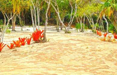 Imagem 4: Área de Praia para Venda em Santa Cruz Cabrália, Santo andré