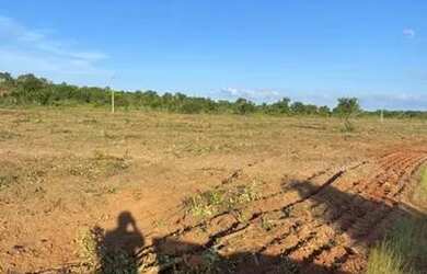 Imagem 5: Fazenda novo acordo Tocantins