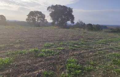 Imagem 3: Lote/Terreno para venda tem 1000 metros quadrados em Jardim Colonial -...