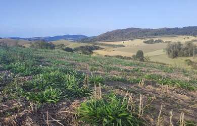 Imagem 4: Lote/Terreno para venda tem 1000 metros quadrados em Jardim Colonial -...