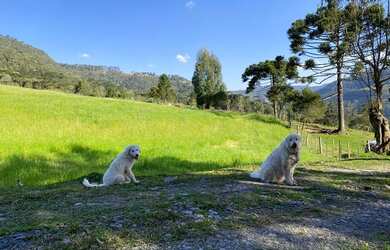 Imagem 4: Terreno - Urubici