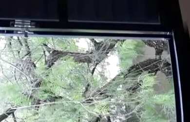 Imagem 2: Apartamento à Venda Excelente Localização PRÓXIMO A UFSCAR