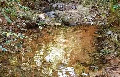 Imagem 9: FAZENDA À VENDA OU ARRENDAMENTO COM 55 HECTARES, NO ALTO PARANAÍBA