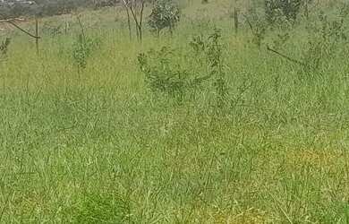 Imagem: O terreno possui 300m² de Área e está localizado em Mateus