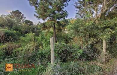Imagem 3: Terreno - Urubici SC. 3.300m² de Área