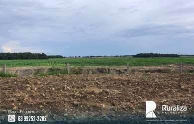 Imagem 7: Fazenda em exploração agrícola no vale do Araguaia TO