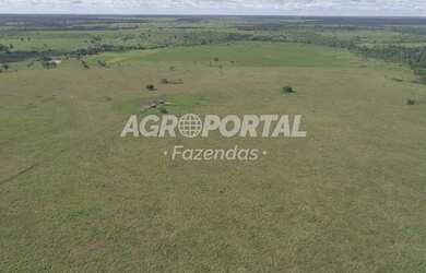 Imagem 8: Fazenda no Pará- Goianésia do Pará - 895 ha 185 alq