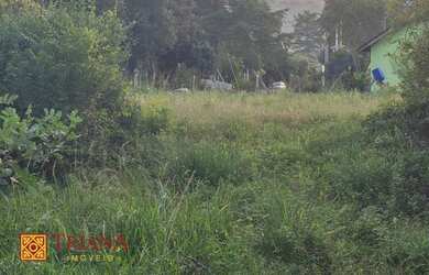 Imagem 6: Terreno - Urubici SC. 3.300m² de Área