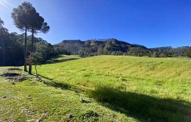 Imagem 14: Terreno - Urubici