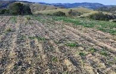 Imagem 3: Lote/Terreno para venda tem 500 metros quadrados em Campos de Atibaia...