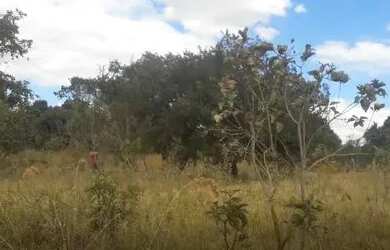 Imagem 1: Terreno Terreno / lote com venda por R$65.000