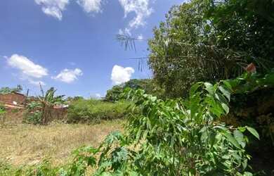 Imagem 6: Área 4500m² - Angelim. 4.500m² de Área