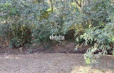 Imagem: O terreno possui 6.044m² de Área e está localizado em Shopping