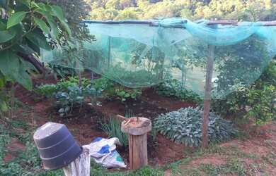 Imagem 11: Linda chácara para venda próximo a São Lourenço - MG