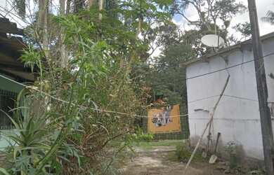 Imagem 5: 1 hectare pisciciultura abandonada 277 mil reais 2 casas