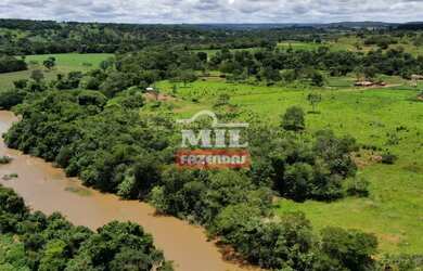 Imagem 5: Beira Rio - Chácara 1.36 alqueires 66.000 metros Santa Cruz de Goiás