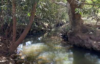 Imagem: A fazenda possui 12.450m² de Área e está localizado em Uruana