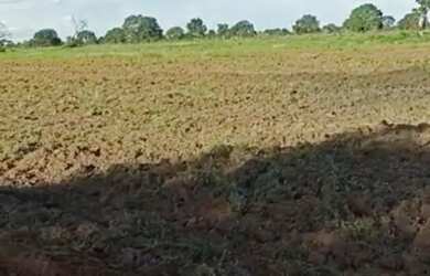 Imagem 2: Vende-se uma excelente fazenda de 1.100 hectares