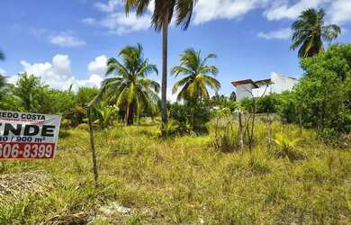 Imagem 2: Dois lotes juntos Porto de Pedras, Paria Tatuamunha, proximo ao Mar