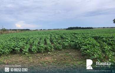 Imagem 6: Fazenda em exploração agrícola no vale do Araguaia TO