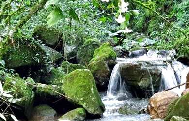 Imagem: A fazenda possui 148.000m² de Área e está localizado em