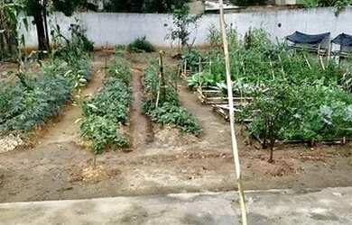 Imagem 13: CASA MARAVILHOSA. Piscina, Churrasqueira, 100m² de Áreae2 Vagas na garagem