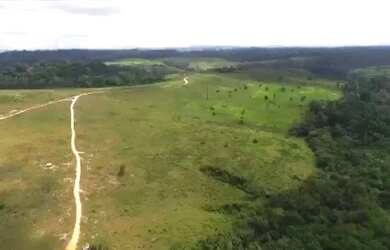 Imagem 14: Fazenda em Altamira - Pará - 470 Alqueires - Acesso de Asfalto