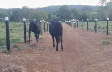 Imagem 12: Chácara com 3 dormitórios à venda, 217800 m² por R$ 1.050.000,00 -...