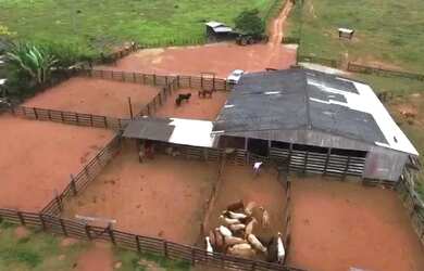 Imagem 3: Fazenda em Altamira - Pará - 470 Alqueires - Acesso de Asfalto